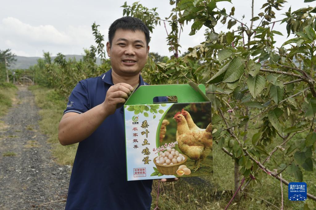 大盛娱乐登录平台